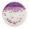 IRIS SALMONELLA AGAR