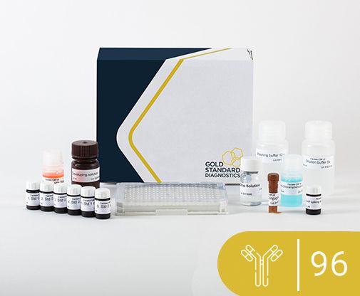 Kit ELISA kiểm tra dư lượng Chloramphenicol