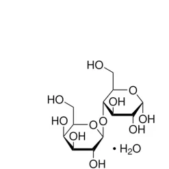 Lactose monohydrate