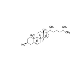 Cholesterol solution