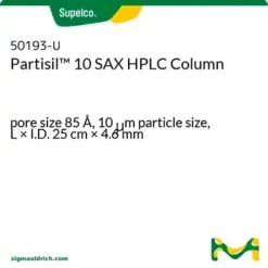 Partisil™ SAX (10 µm) HPLC Columns