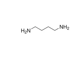 Putrescine