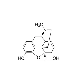 Morphine solution