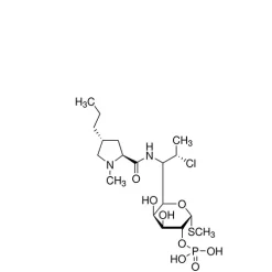 Clindamycin Phosphate