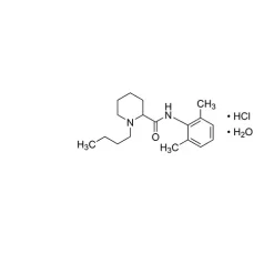 Bupivacaine hydrochloride