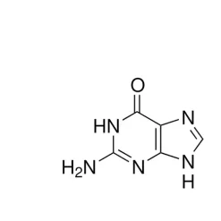 Guanine