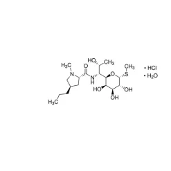 Lincomycin Hydrochloride