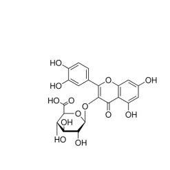 Quercetin 3-glucuronide