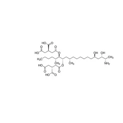 Fumonisin B solution