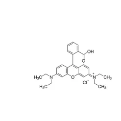 Rhodamine B