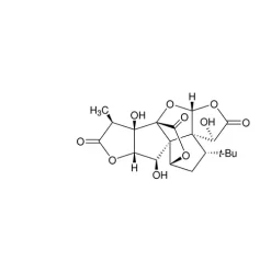 Ginkgolide B from Ginkgo biloba leaves