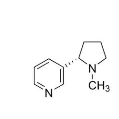 (−)-Nicotine solution