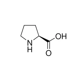 Proline