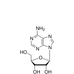 Adenosine