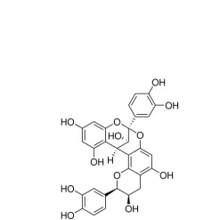 Procyanidin A2