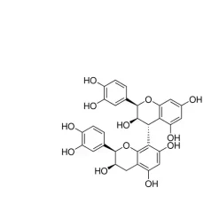 Procyanidin B2