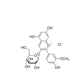 Peonidin 3-glucoside chloride