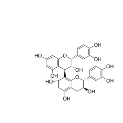 Procyanidin B1