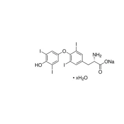 Levothyroxine Sodium Hydrate