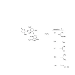Gentamicin for peak identification