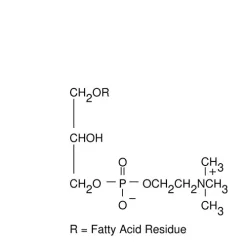 Lysophosphatidylcholine from egg yolk