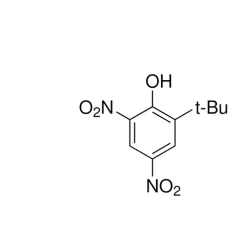Human Collagen Type IV