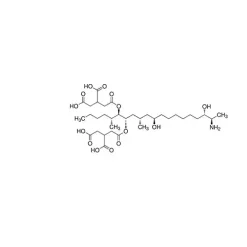 Fumonisin B solution