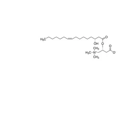 [(3R)-3-Hydroxy-hexadec-9-enoyl]-L-carnitine, predominantly cis