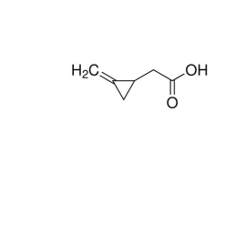 (RS)-(Methylenecyclopropyl)acetic acid