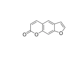 Bovine Serum Albumin
