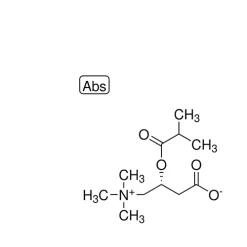 Isobutyryl-L-carnitine