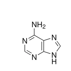 Adenine