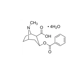 Benzoylecgonine tetrahydrate