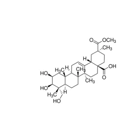 Phytolaccagenin