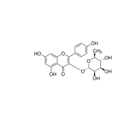 Kaempferol 3-rhamnoside