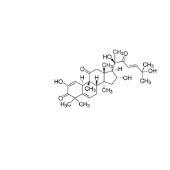 L-15 Medium (Leibovitz)