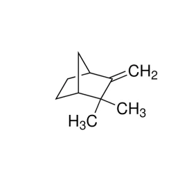 Camphor Impurity B, Camphene