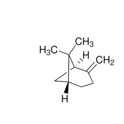 (+)-β-Pinene