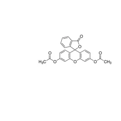 Diacetylfluorescein