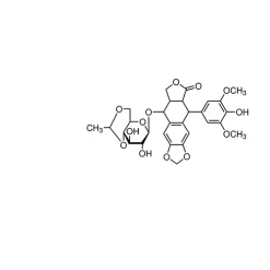 Etoposide for system suitability