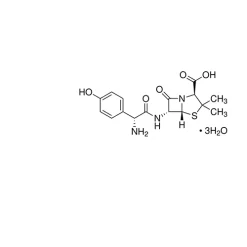 Amoxicillin
