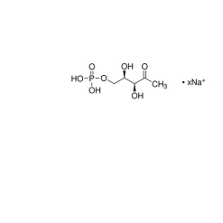 1-Deoxy-D-xylulose-5-phosphate sodium salt