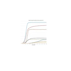 Bovine Collagen Type I