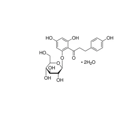 Phloridzin dihydrate
