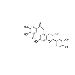 Catechin 5--gallate