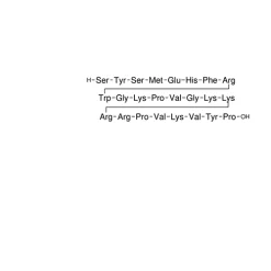 Adrenocorticotropic Hormone Fragment 1-24 human, rat
