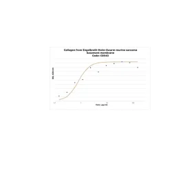 Mouse Collagen Type IV