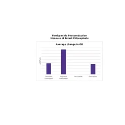 Chloroplast Isolation Kit