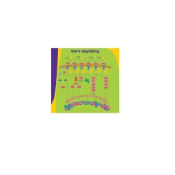 Heparin-Binding EGF-Like Growth Factor human