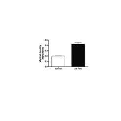 QCM Endothelial Cell Invasion Assay (24 well, colorimetric)
